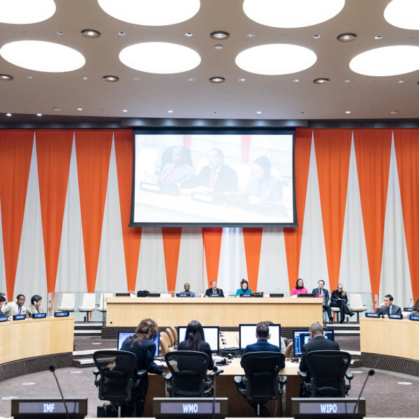 A wide view of an ECOSOC meeting on the election of the executive board of a UN agency.