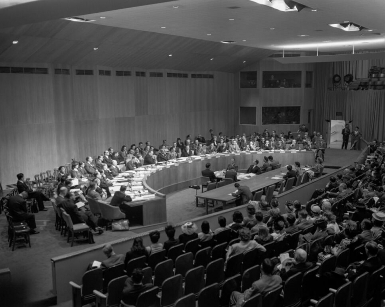 Экономический и социальный совет Организации Объединенных Наций