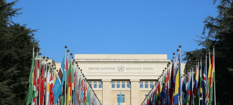 Эксперты ООН: «досье Эпштейна» содержит признаки преступлений против человечности