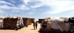 Top news of the day | Thursday: Palestine, Ukraine, Sudan, UN Security Council