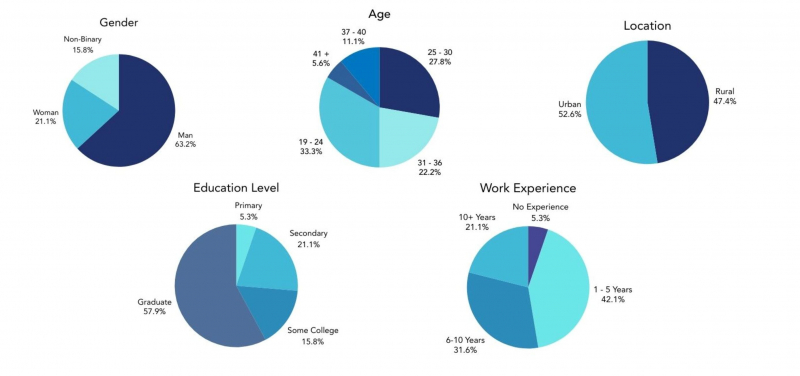 Gender, age, location, education and work experience backgrounds of victims.