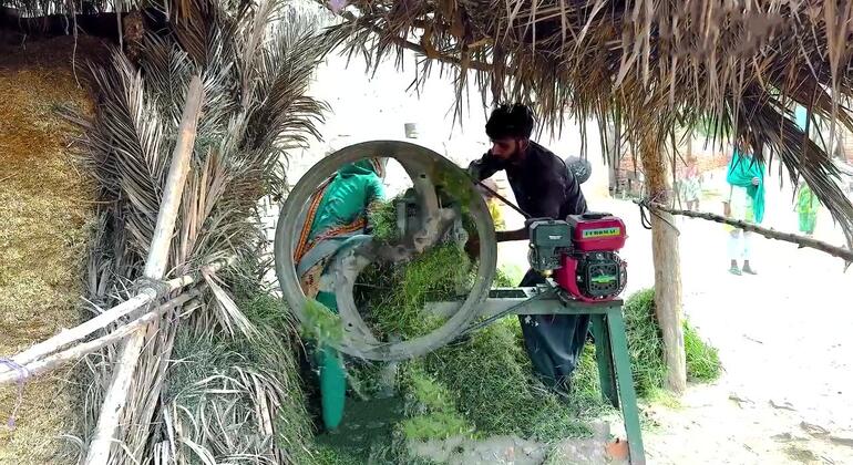 В Индии стартует первый на Глобальном Юге саммит по ИИ